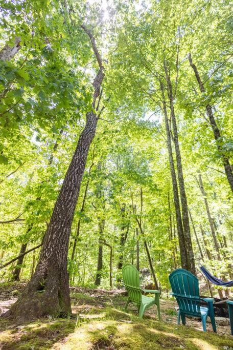 Pet Friendly Luxury Cabin Near Helen With Fire Pit Cleveland Extérieur photo