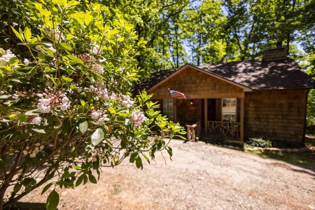 Pet Friendly Luxury Cabin Near Helen With Fire Pit Cleveland Extérieur photo